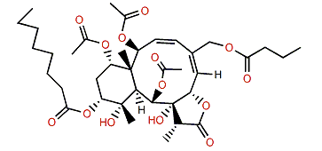 Briarein K